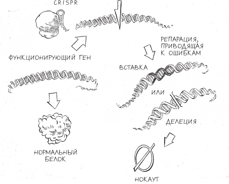 Трещина в мироздании