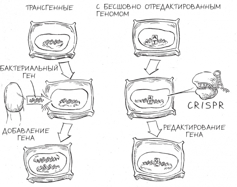 Трещина в мироздании