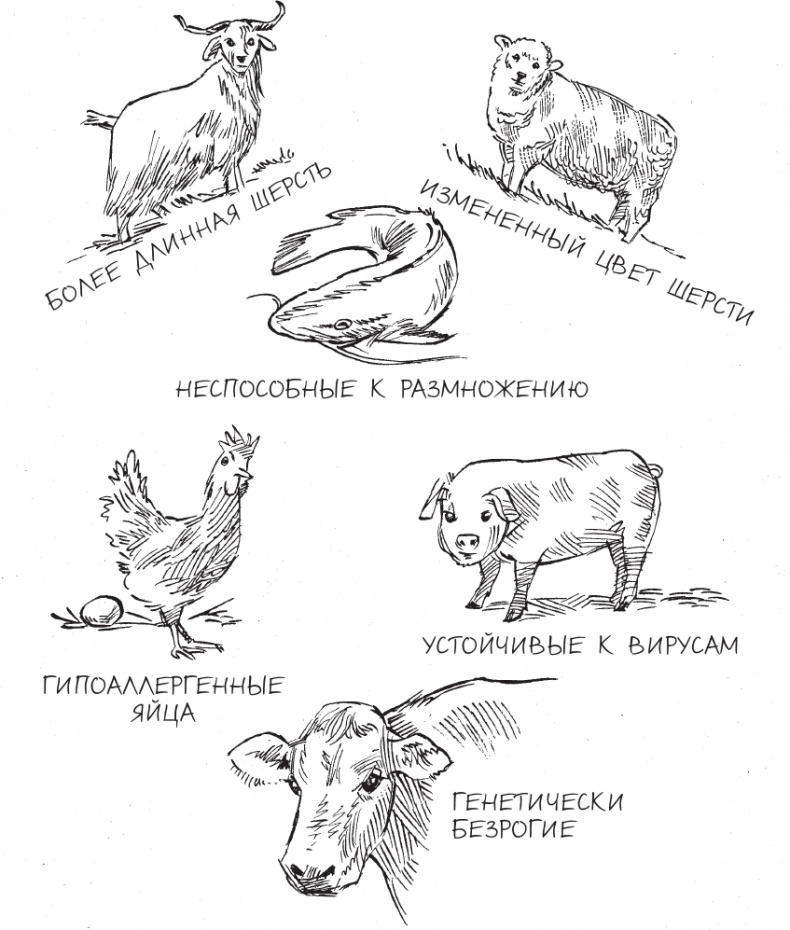 Трещина в мироздании