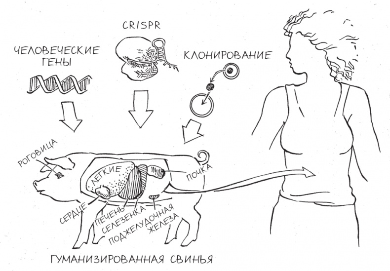 Трещина в мироздании