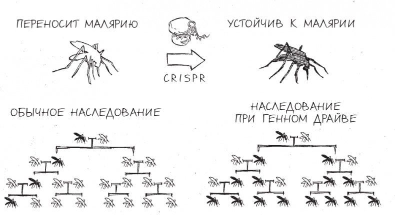 Трещина в мироздании