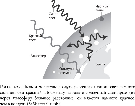 Гонка за Нобелем