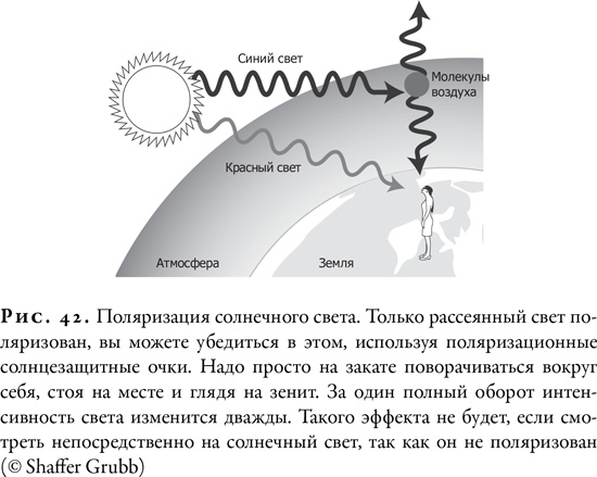 Гонка за Нобелем