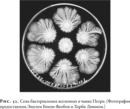 Гонка за Нобелем