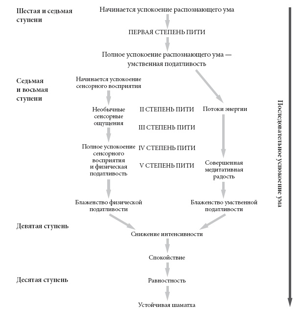 Свет ума