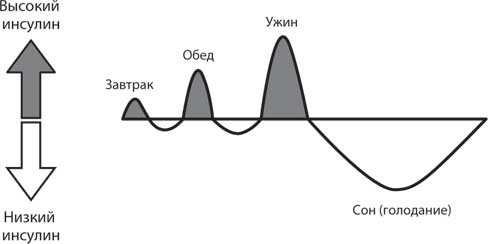 Дикий гормон