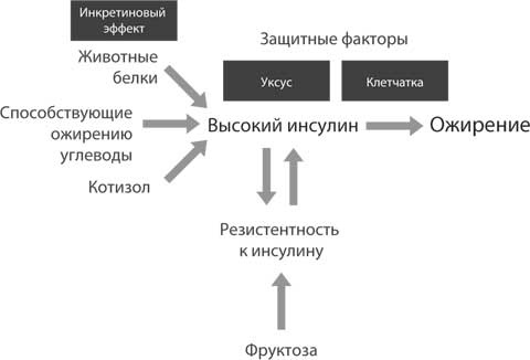 Дикий гормон