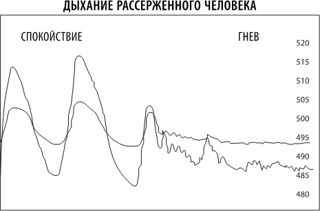 Полюби свой мозг