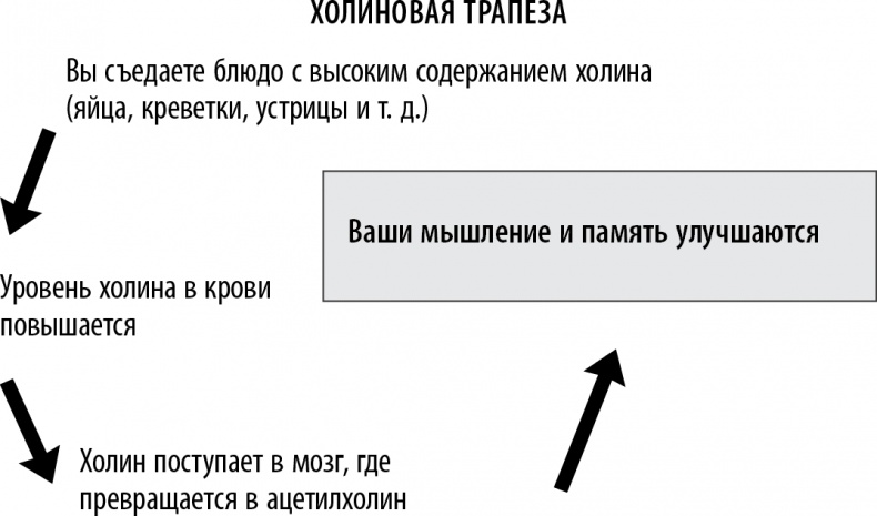 Полюби свой мозг