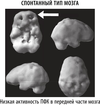 Полюби свой мозг