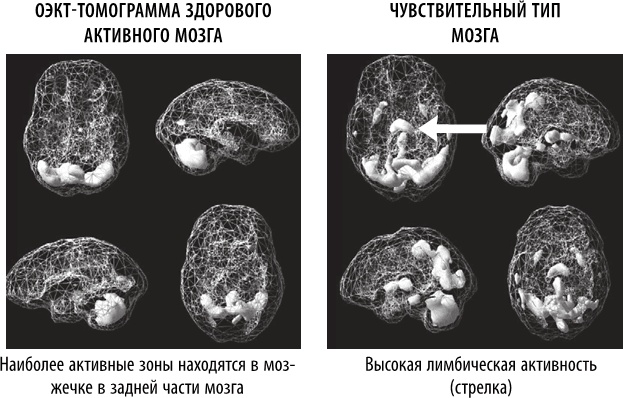 Полюби свой мозг