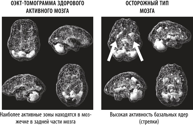 Полюби свой мозг