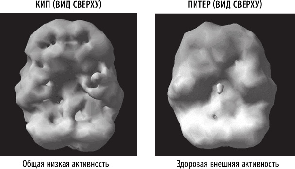 Полюби свой мозг