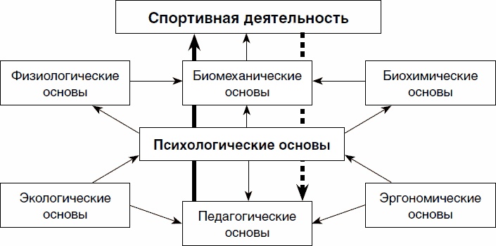 Психология спортсмена: слагаемые успеха