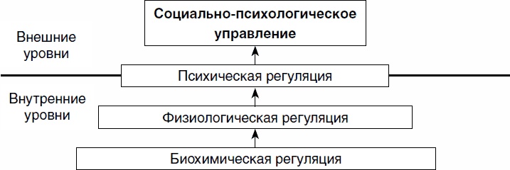 Психология спортсмена: слагаемые успеха