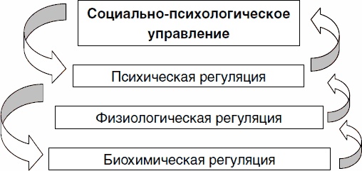 Психология спортсмена: слагаемые успеха