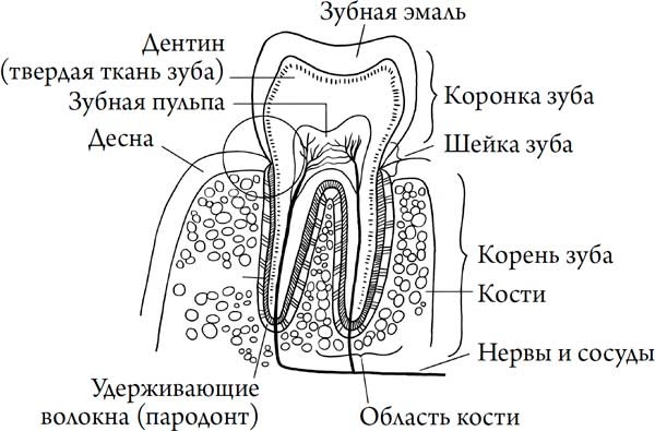 Человек Противный