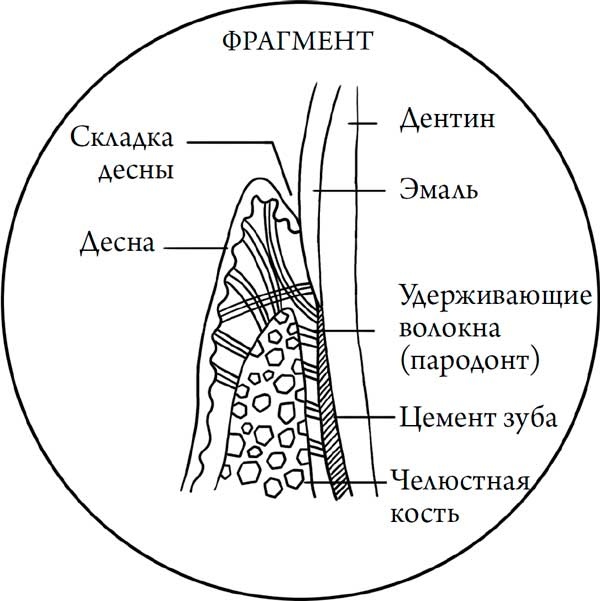 Человек Противный