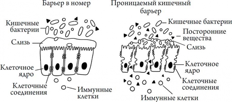 Человек Противный