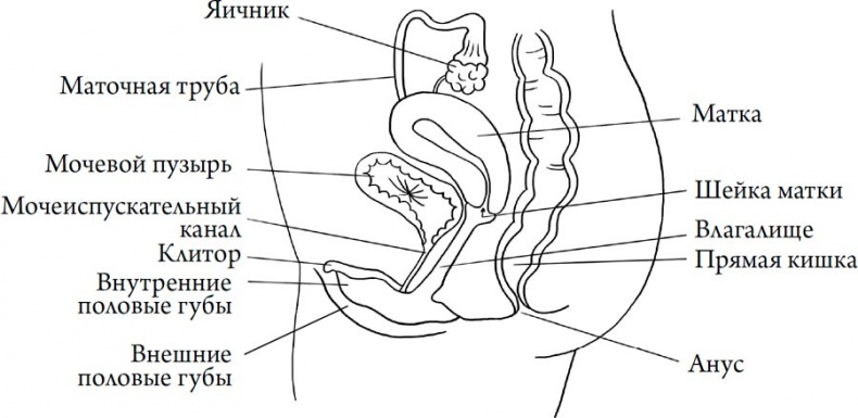 Человек Противный