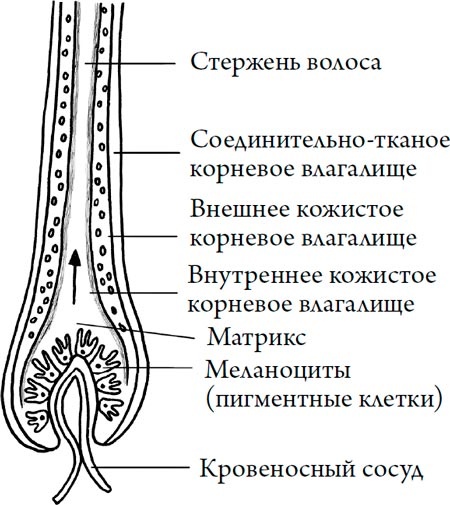 Человек Противный