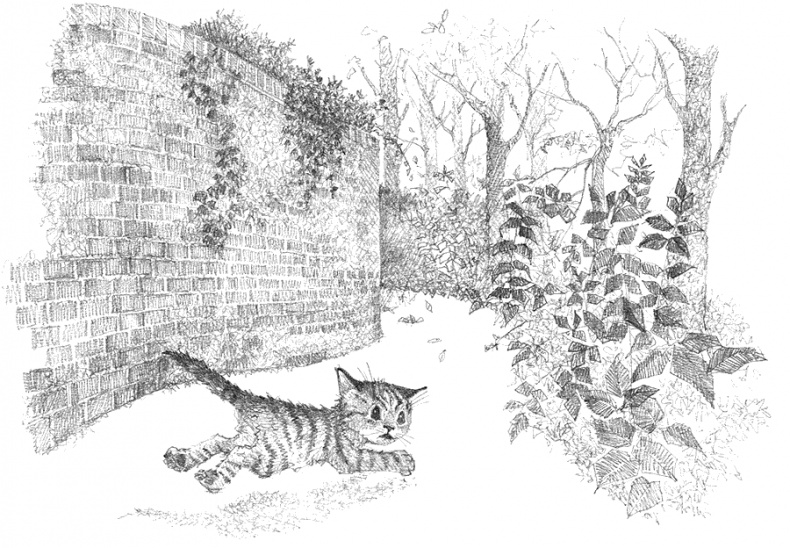 Котёнок Тигр, или Искатель приключений