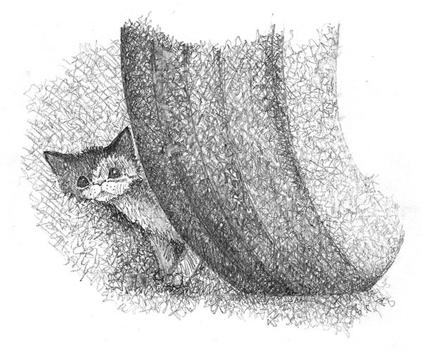 Котёнок Клео, или Путешествие непоседы