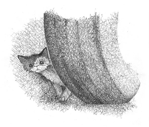 Котёнок Клео, или Путешествие непоседы