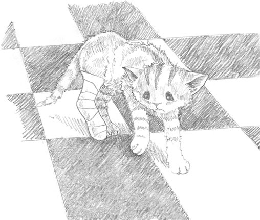 Котёнок Сильвер, или Полосатый храбрец