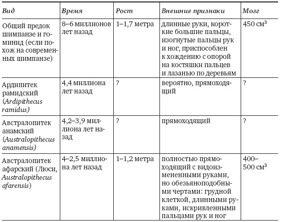 Как работает мозг