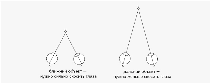 Как работает мозг