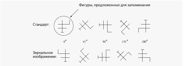 Как работает мозг