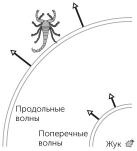 Новый физический фейерверк