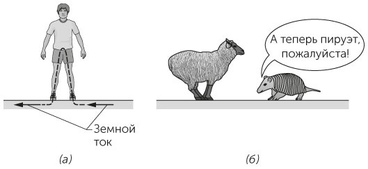 Новый физический фейерверк