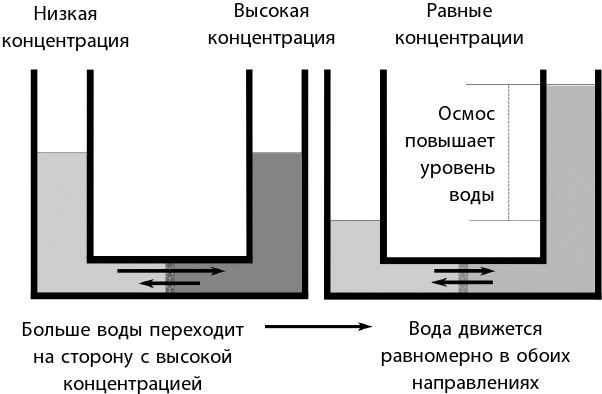 Взламывая биологию