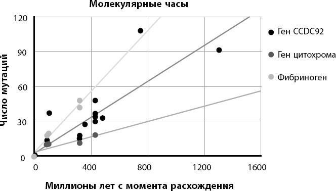 Взламывая биологию