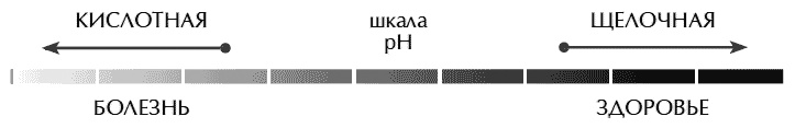 Звук безмолвия