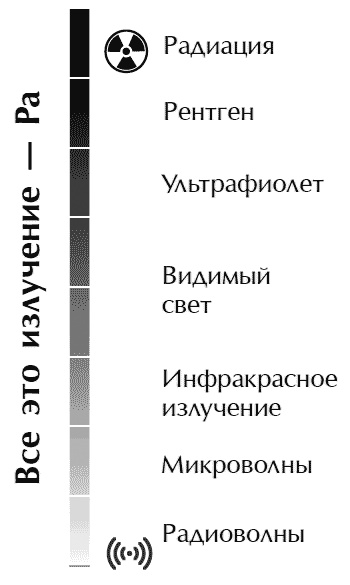 Звук безмолвия