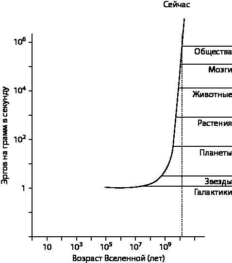 Эволюция. От Дарвина до современных теорий