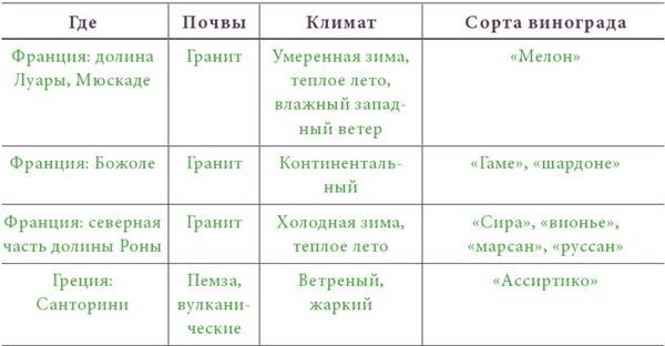 Почва и вино. Путешествие по вкусам и ароматам