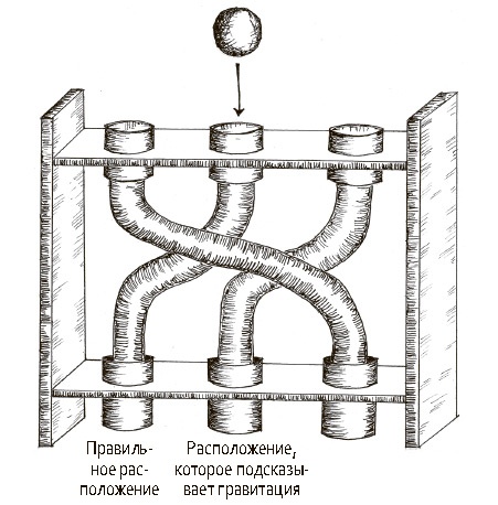 Сбитые с толку