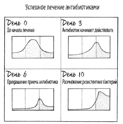 Тайная жизнь домашних микробов: все о бактериях, грибках и вирусах