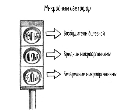 Тайная жизнь домашних микробов: все о бактериях, грибках и вирусах