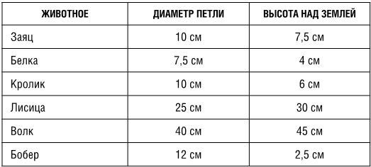 Выживание в экстремальных ситуациях. Опыт SAS