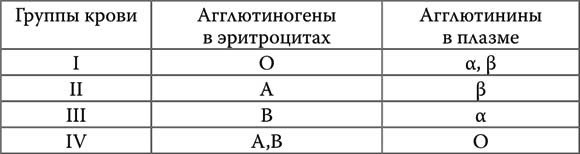 Твоя жизнь до рождения: тайны эволюции человека