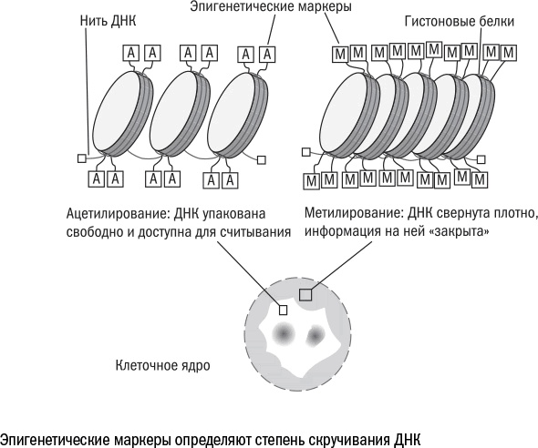 Против часовой стрелки