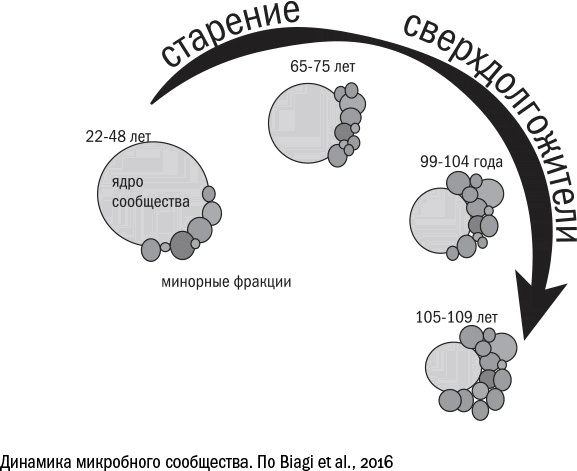 Против часовой стрелки