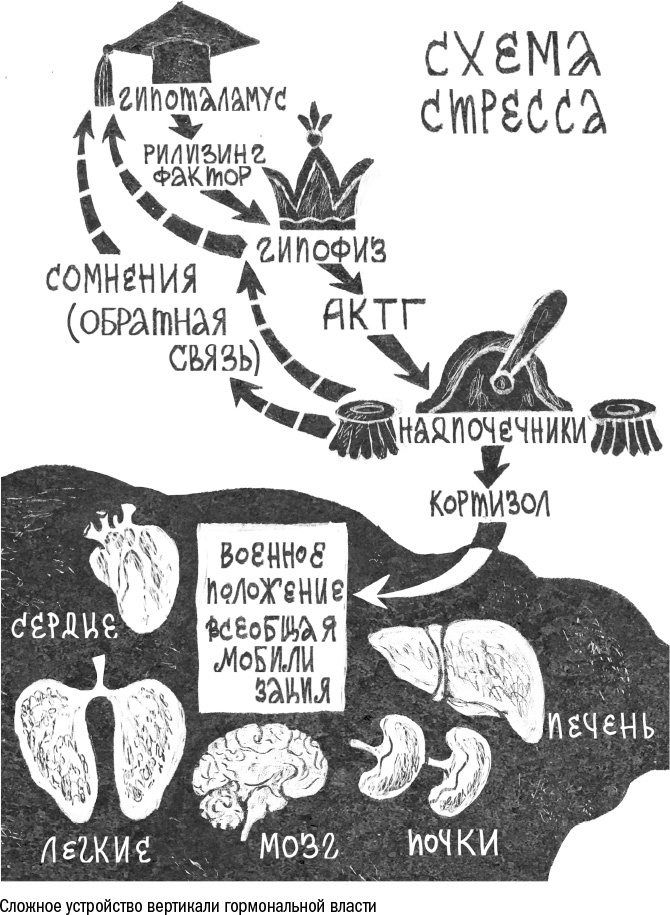 Против часовой стрелки