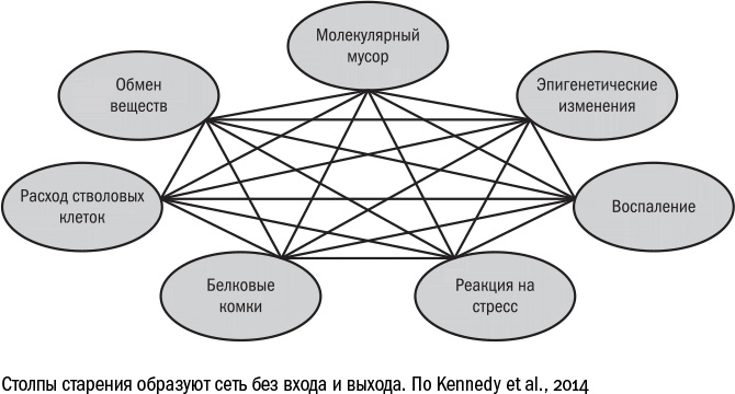 Против часовой стрелки