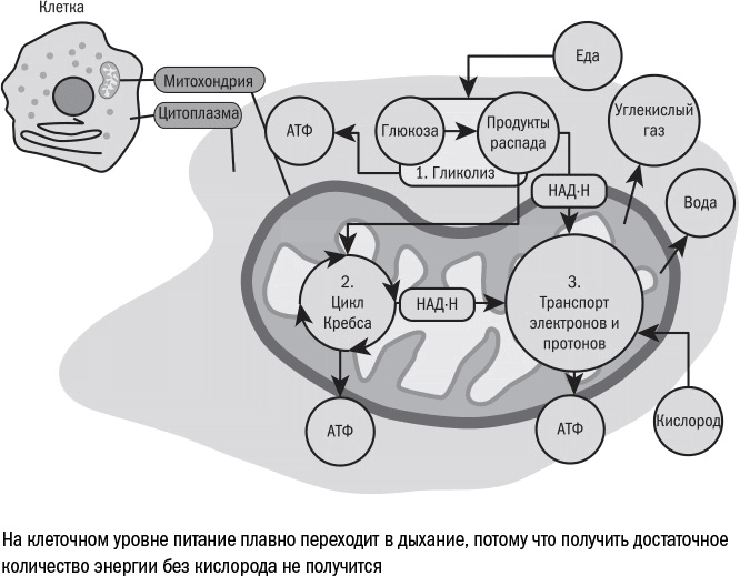 Против часовой стрелки